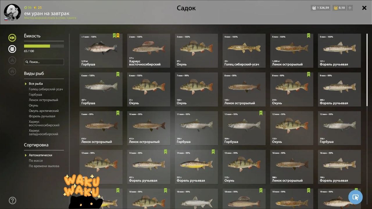 Река Нижняя Тунгуска — Садок