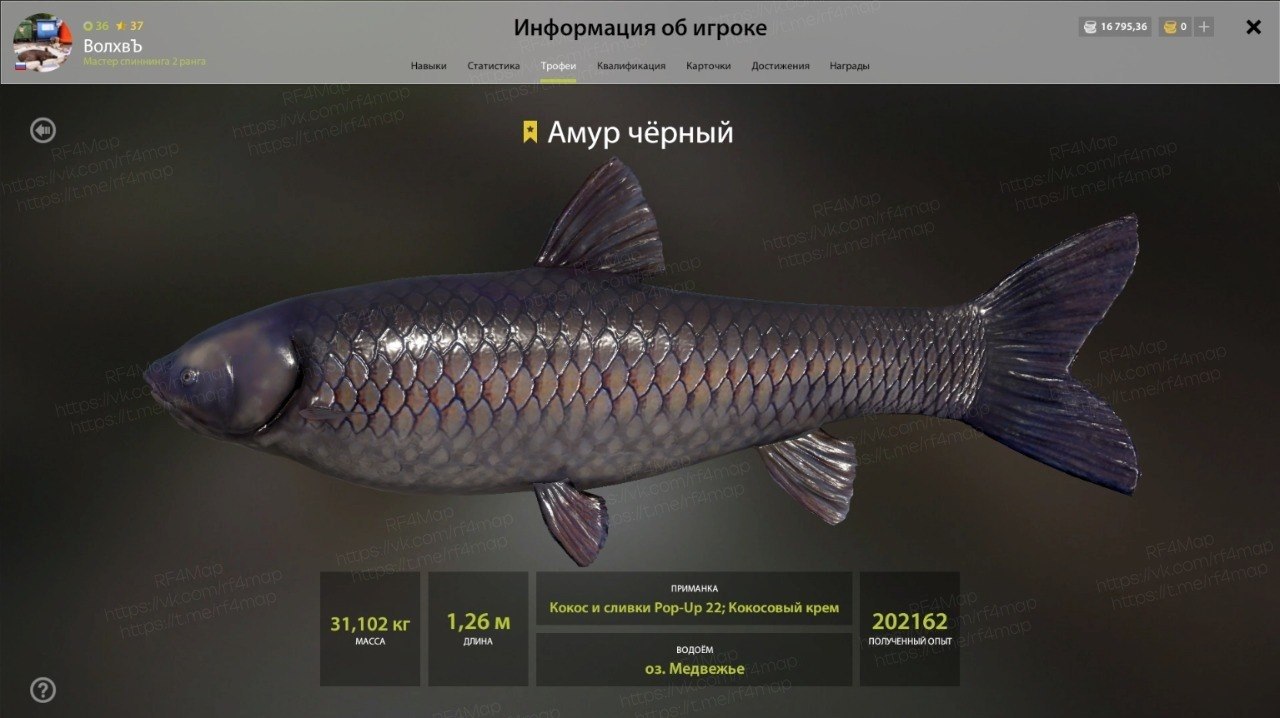 Озеро Медвежье
