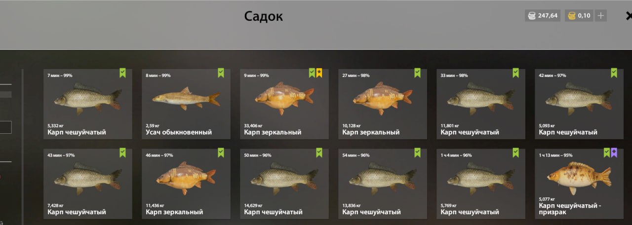 Трофей — Озеро Янтарное