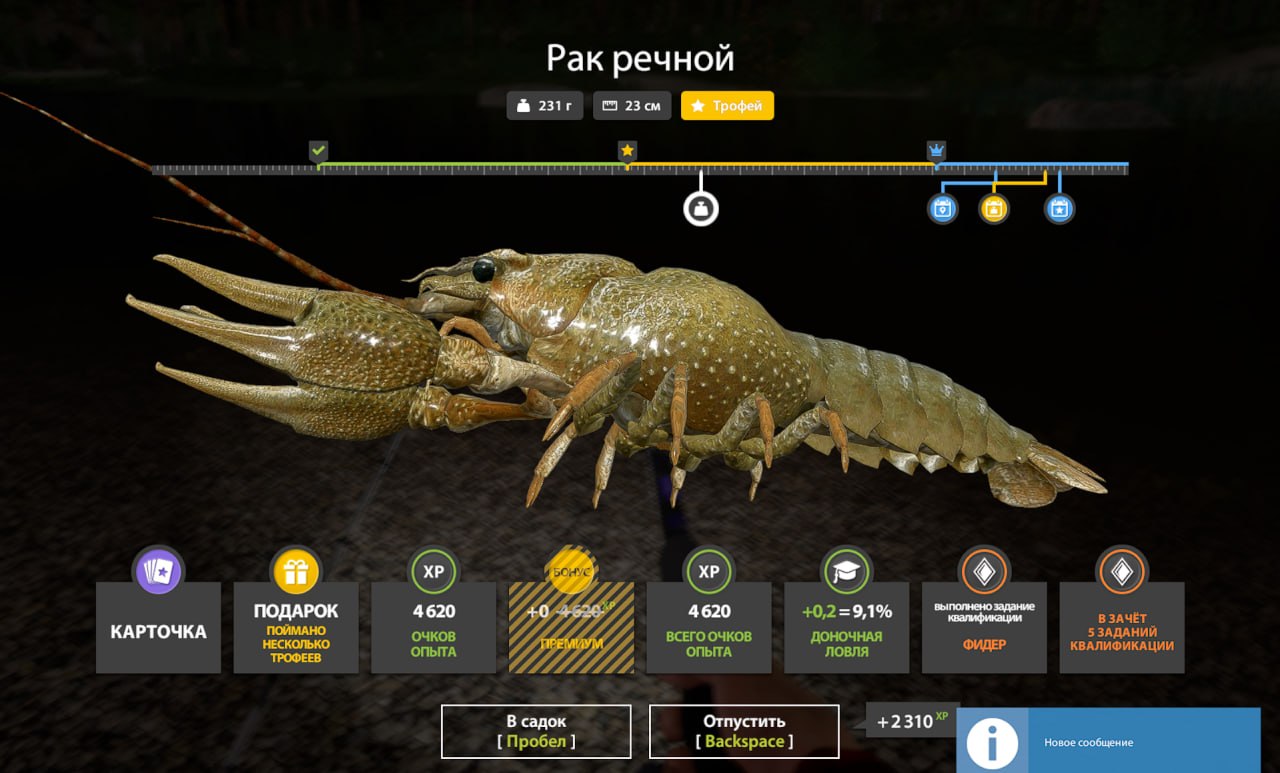 Belaya River — Trophy