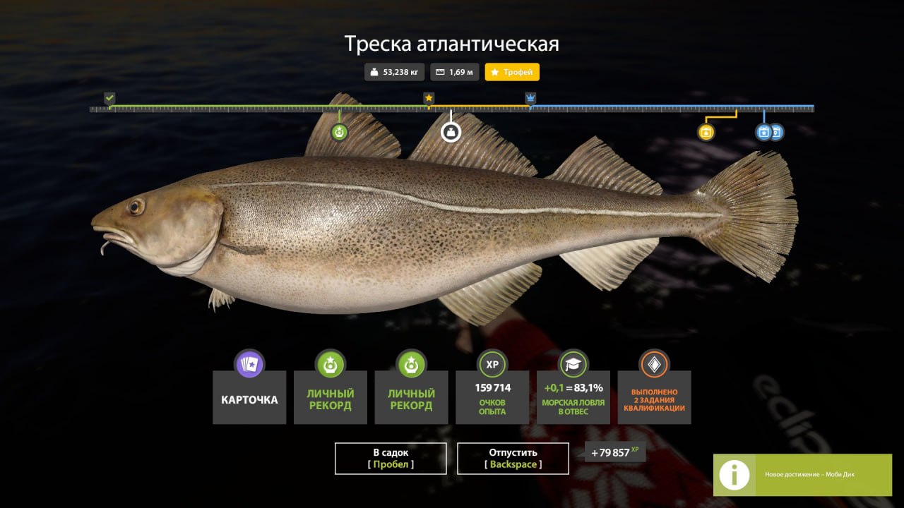 Норвежское море — Трофей