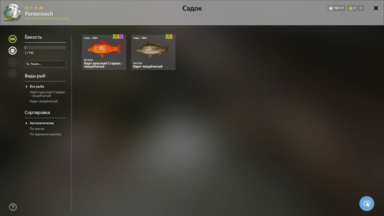 Keepnet — The Amber Lake