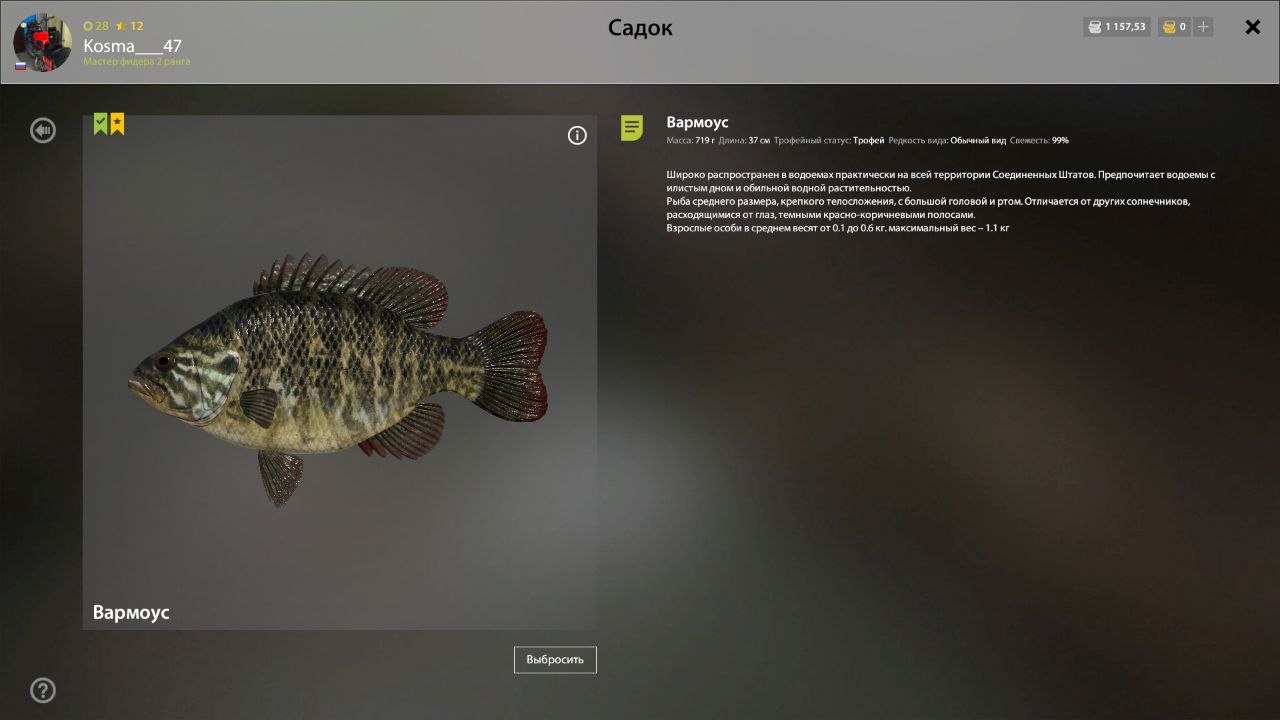 Озеро Лосиное — Разное