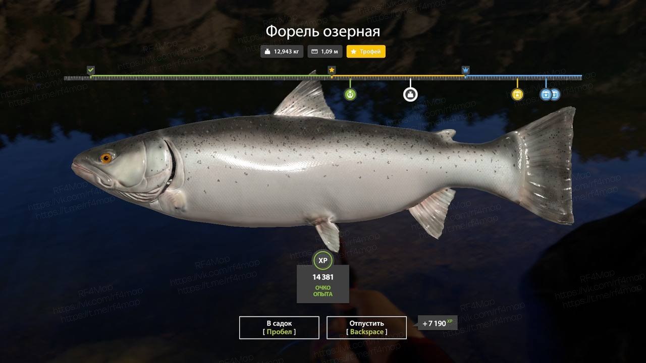Озеро Куори