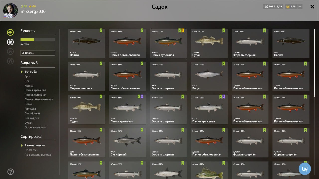 Keepnet — Ladoga Archipelago