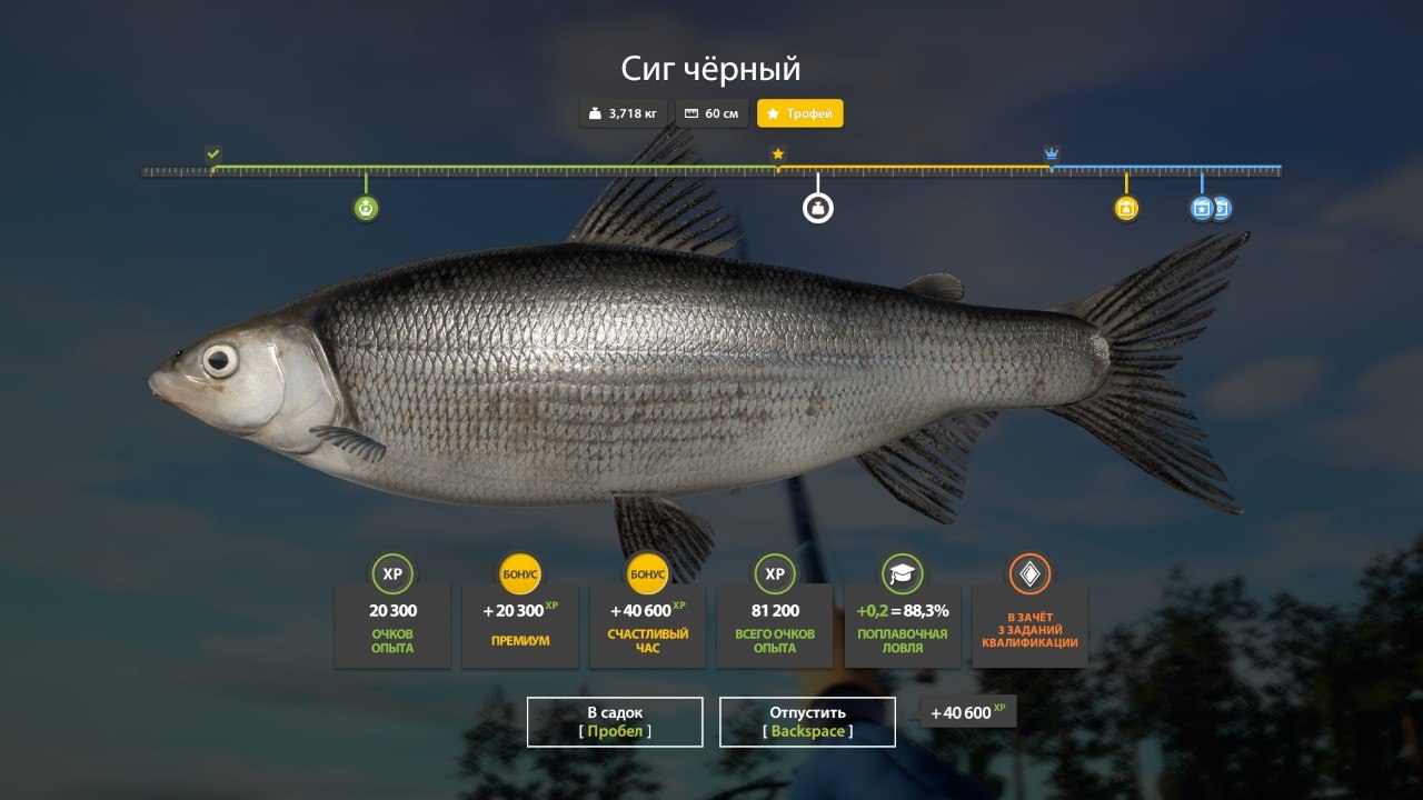 Trophy — Ladoga Archipelago