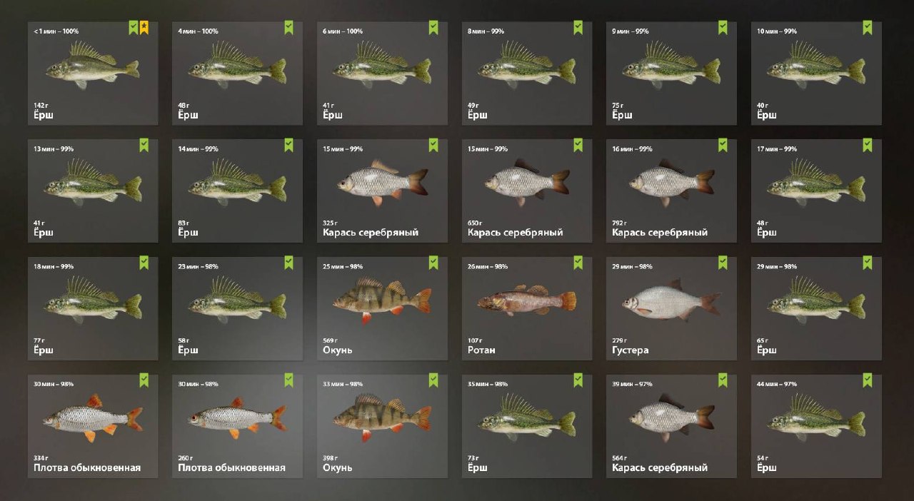 Mosquito Lake — Keepnet