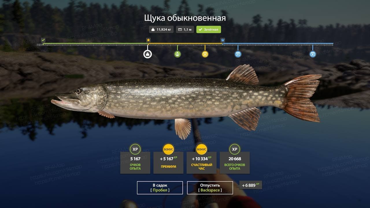 Ладожское озеро — Трофей