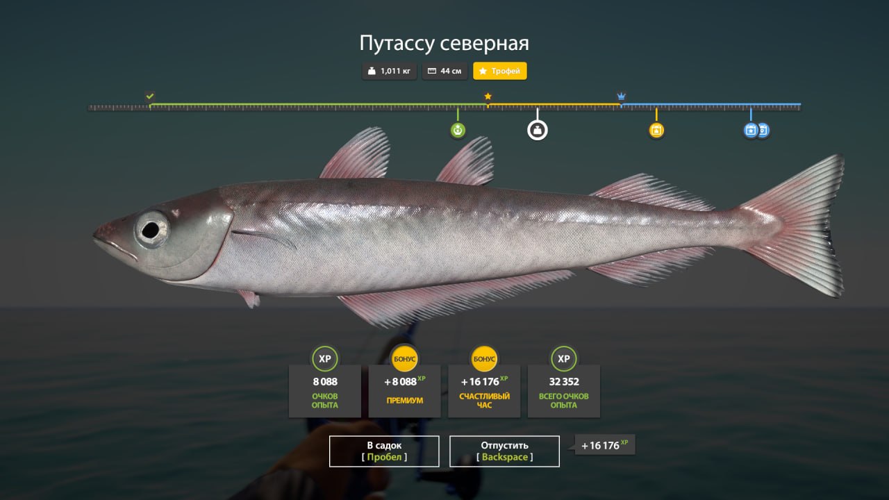 Норвежское море — Трофей