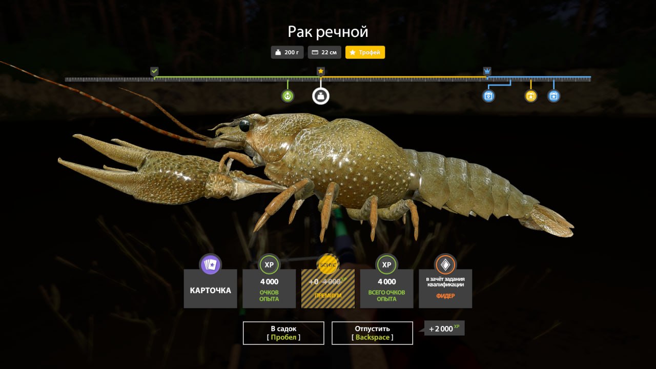 Река Вьюнок — Трофей