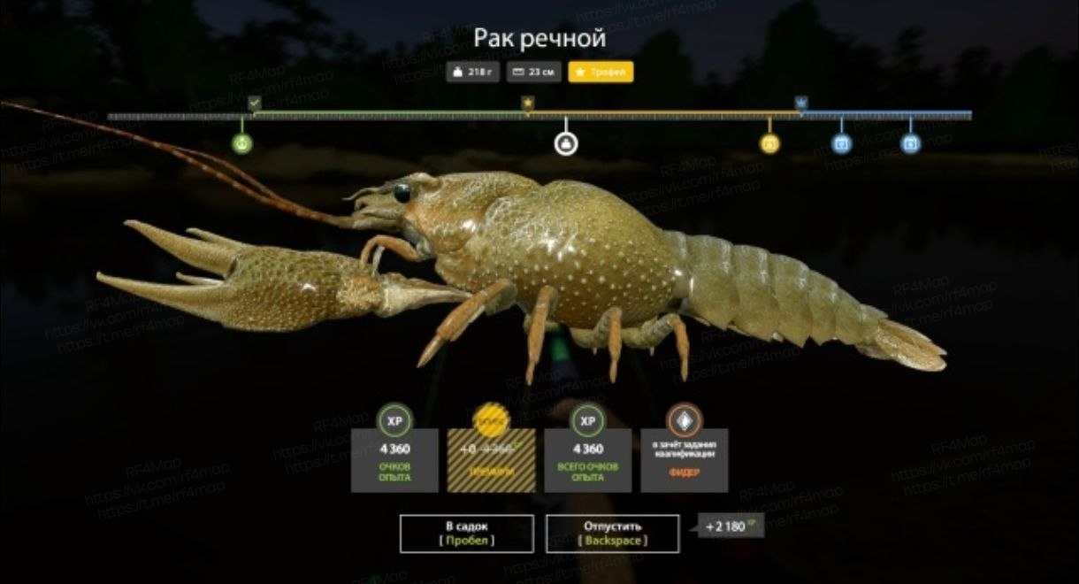 Река Вьюнок