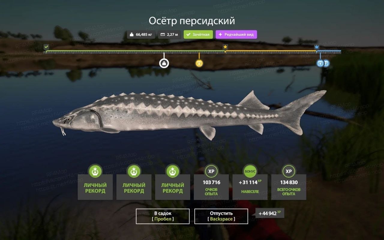 Река Ахтуба
