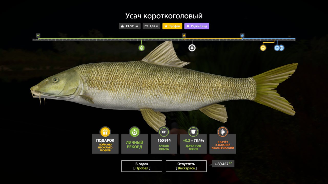 Река Ахтуба