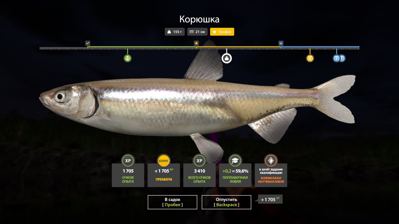 Ladoga Lake — Trophy