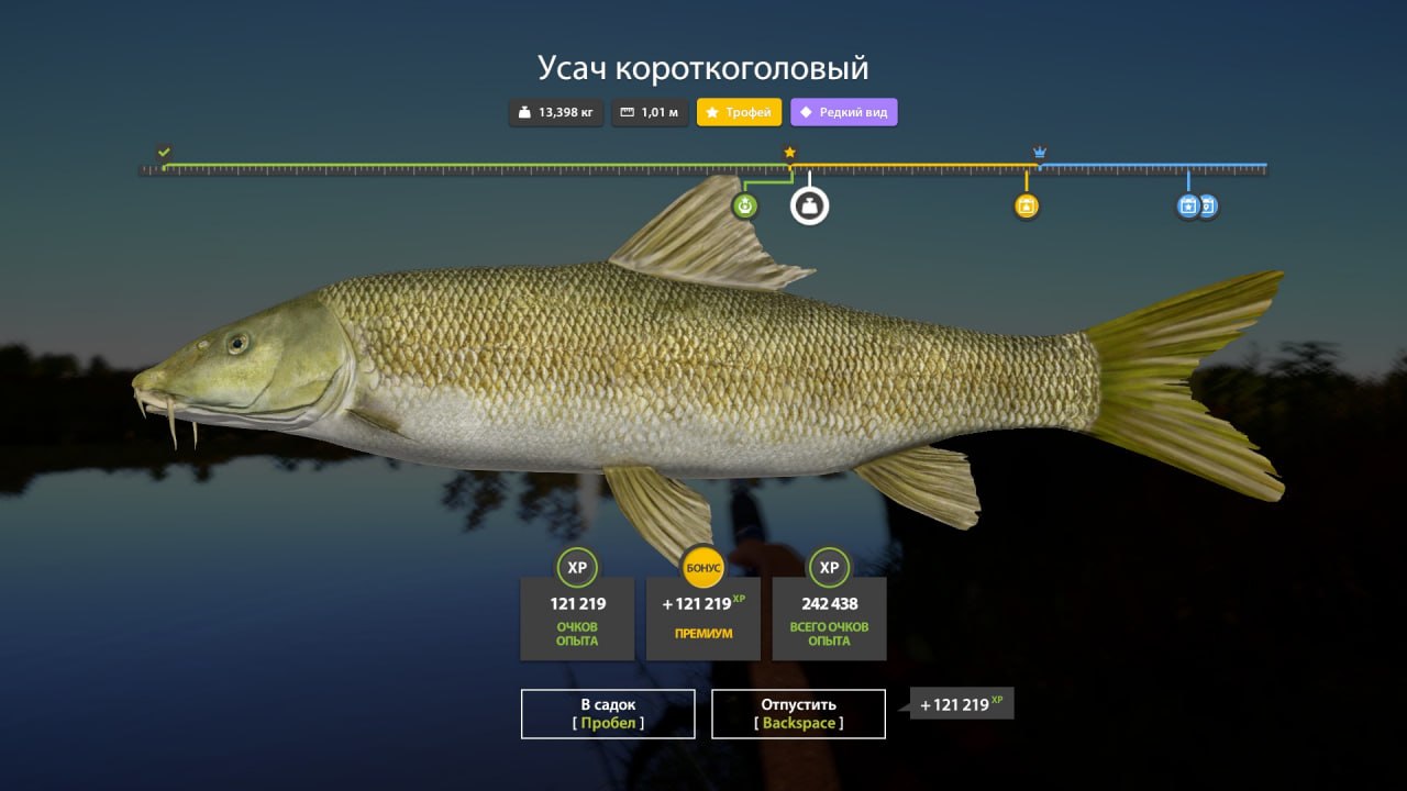 Akhtuba River — Trophy