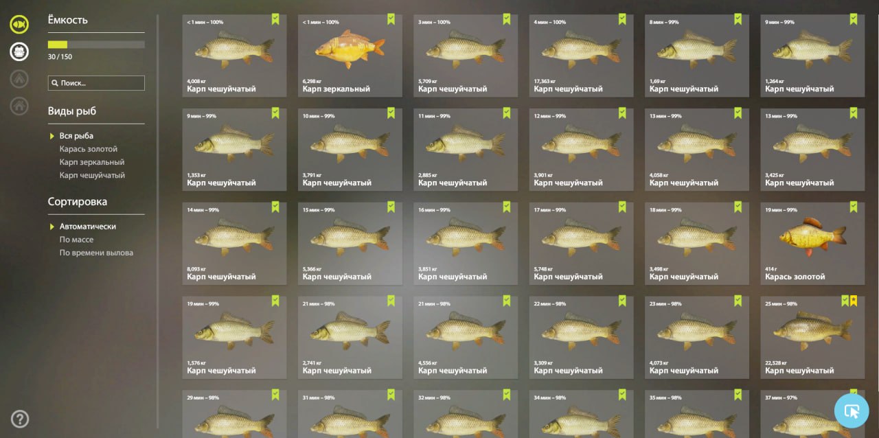 Разное — Озеро Янтарное