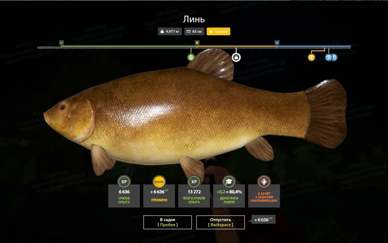 Copper Lake — Trophy