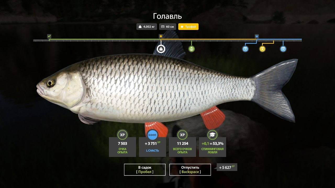 Trophy — Belaya River