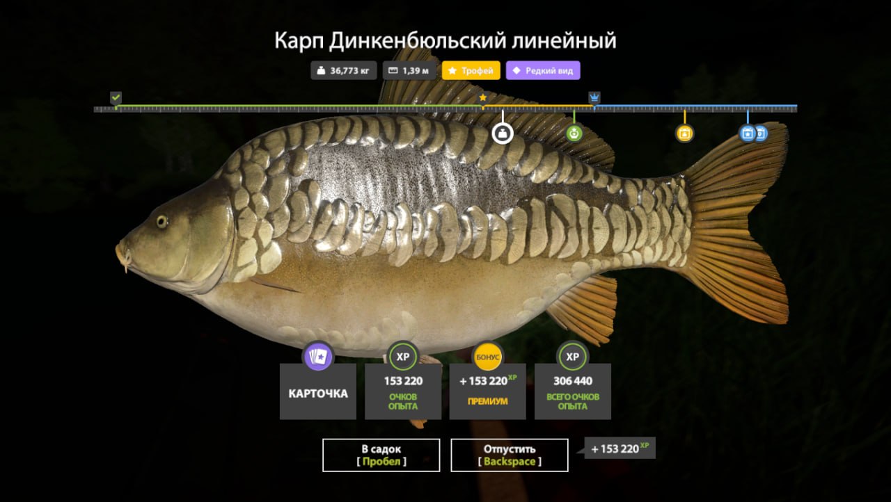 Trophy — Copper Lake