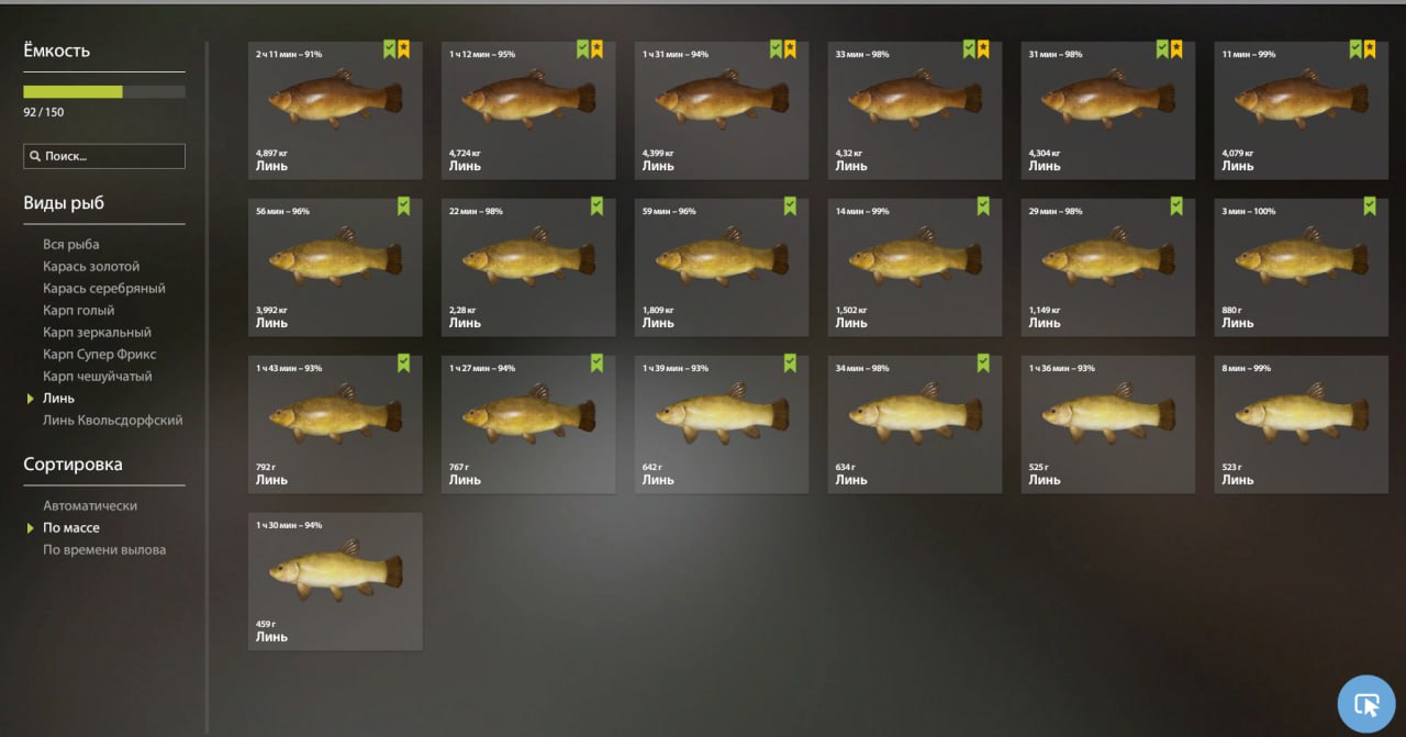 Keepnet — Copper Lake