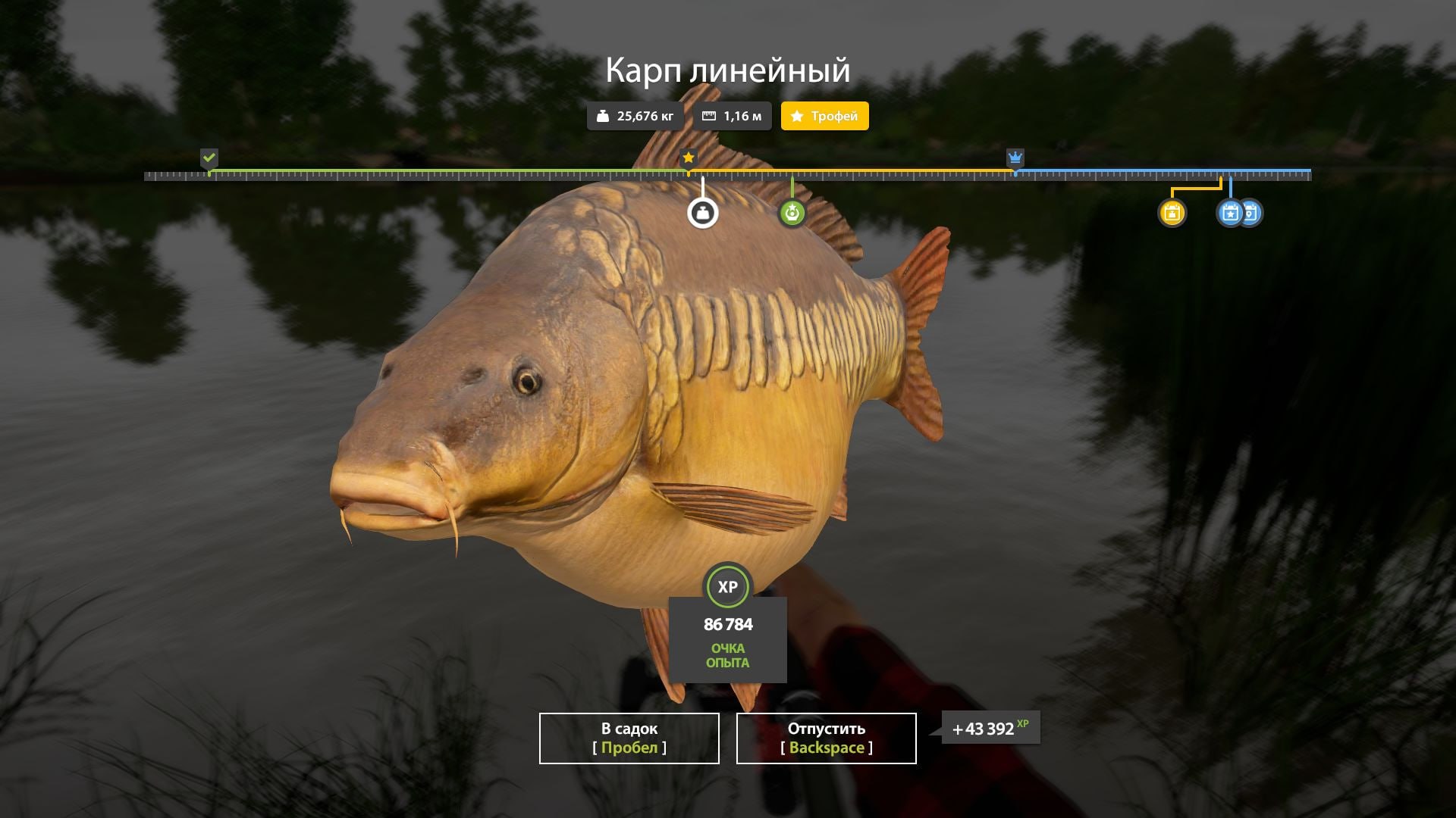 The Amber Lake — Trophy