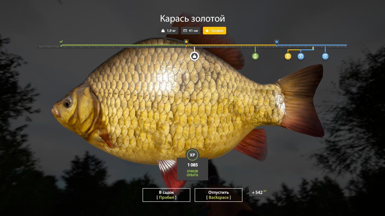 Озеро Медное — Трофей