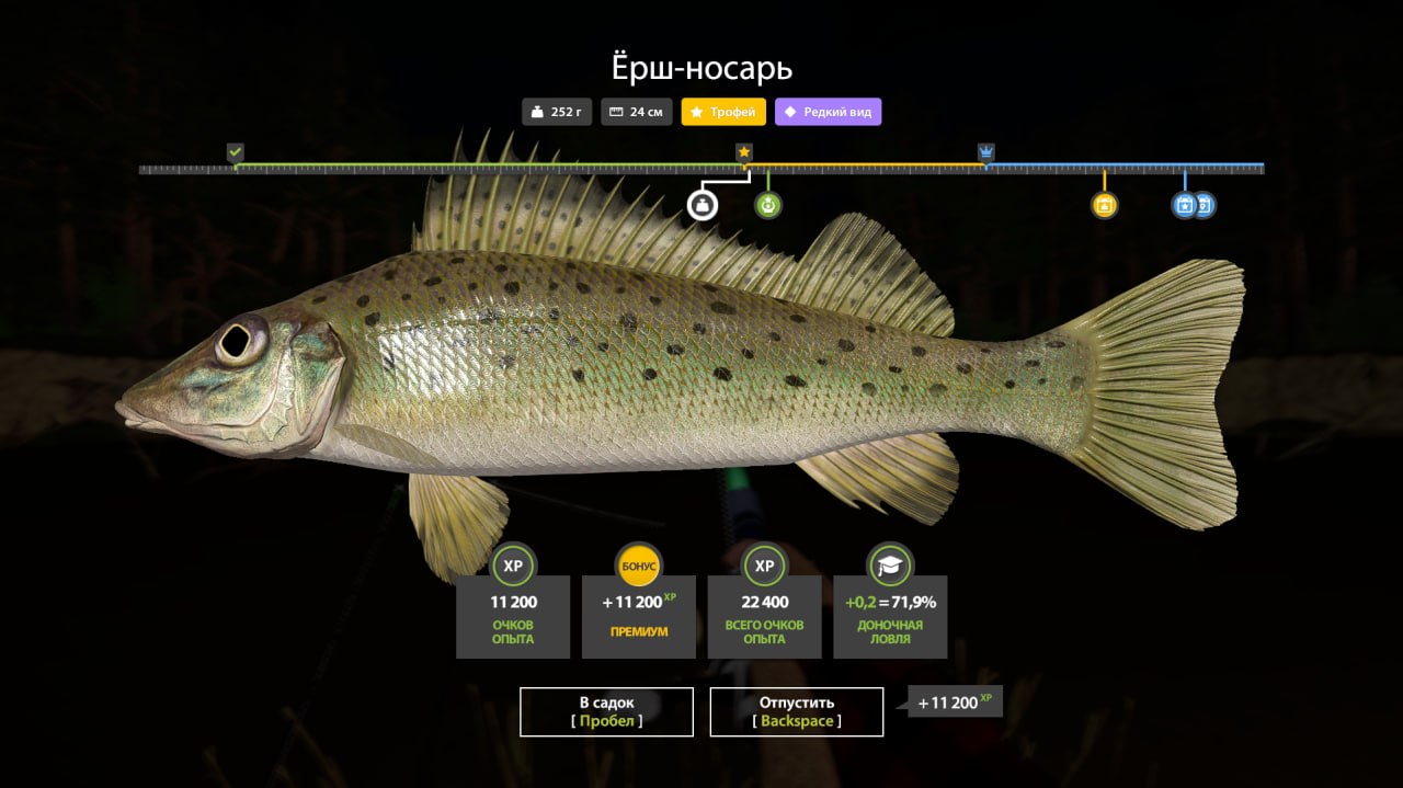 Река Вьюнок — Трофей