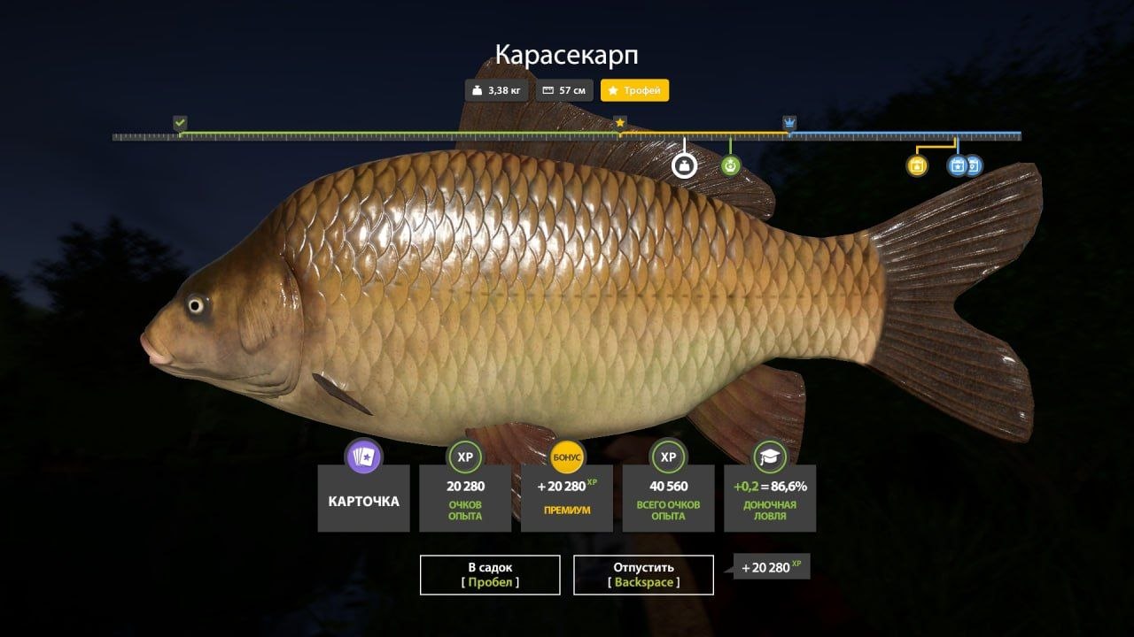 Trophy — Copper Lake