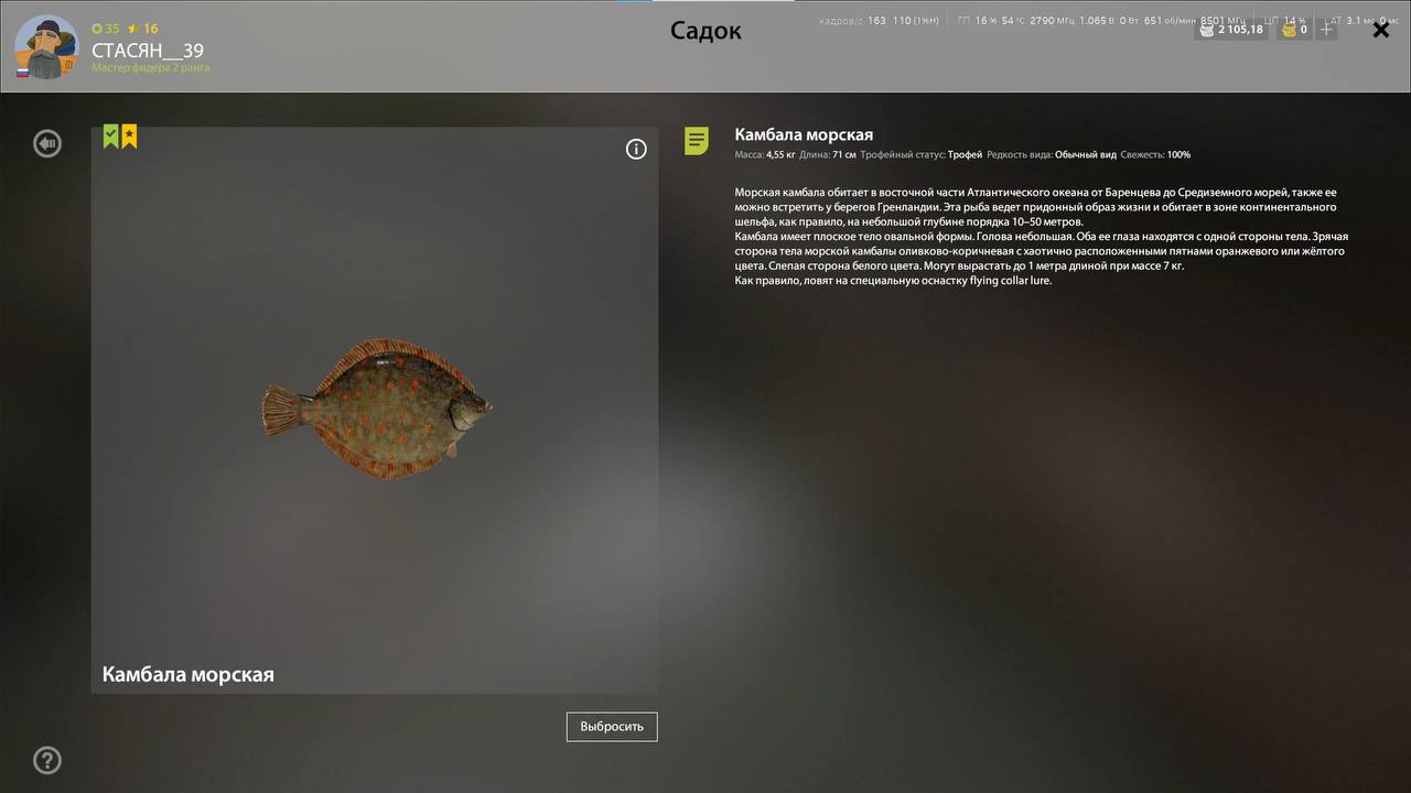Norwegian Sea — Trophy