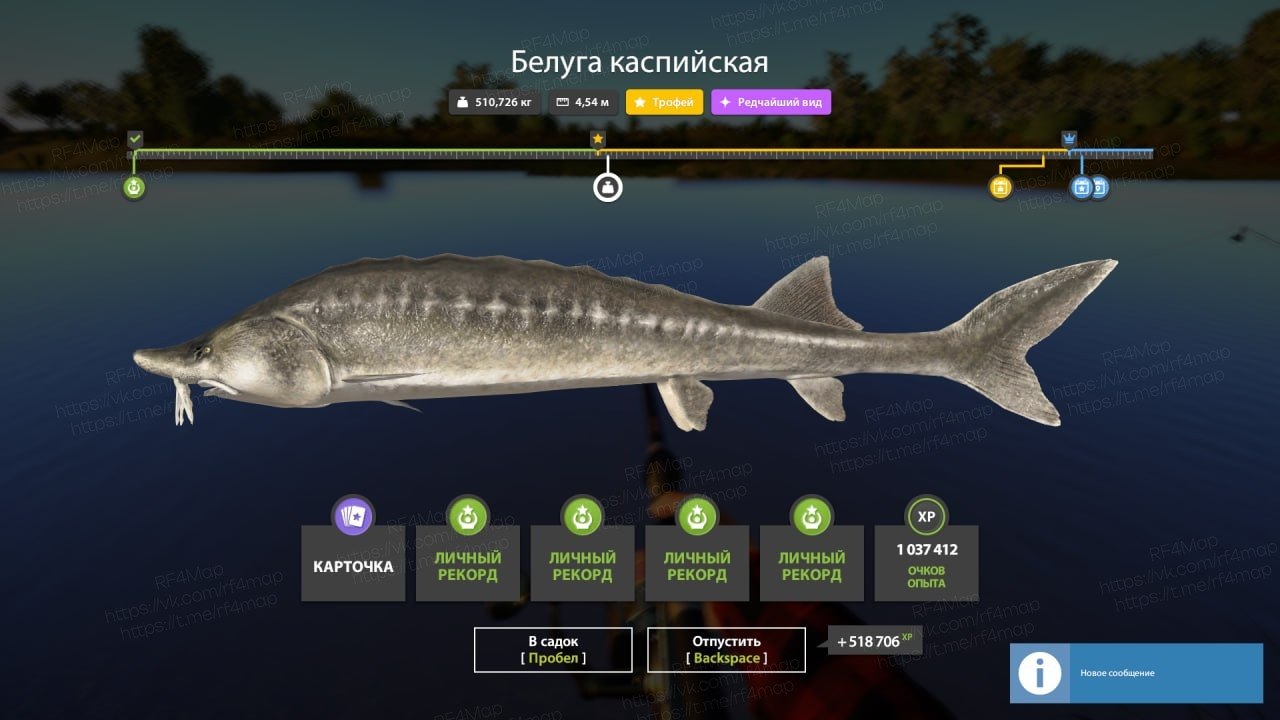 Река Ахтуба — Трофей