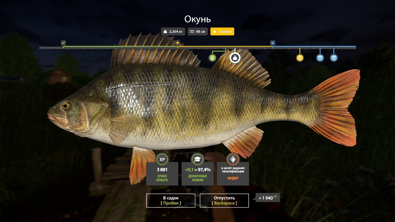 Mosquito Lake — Trophy