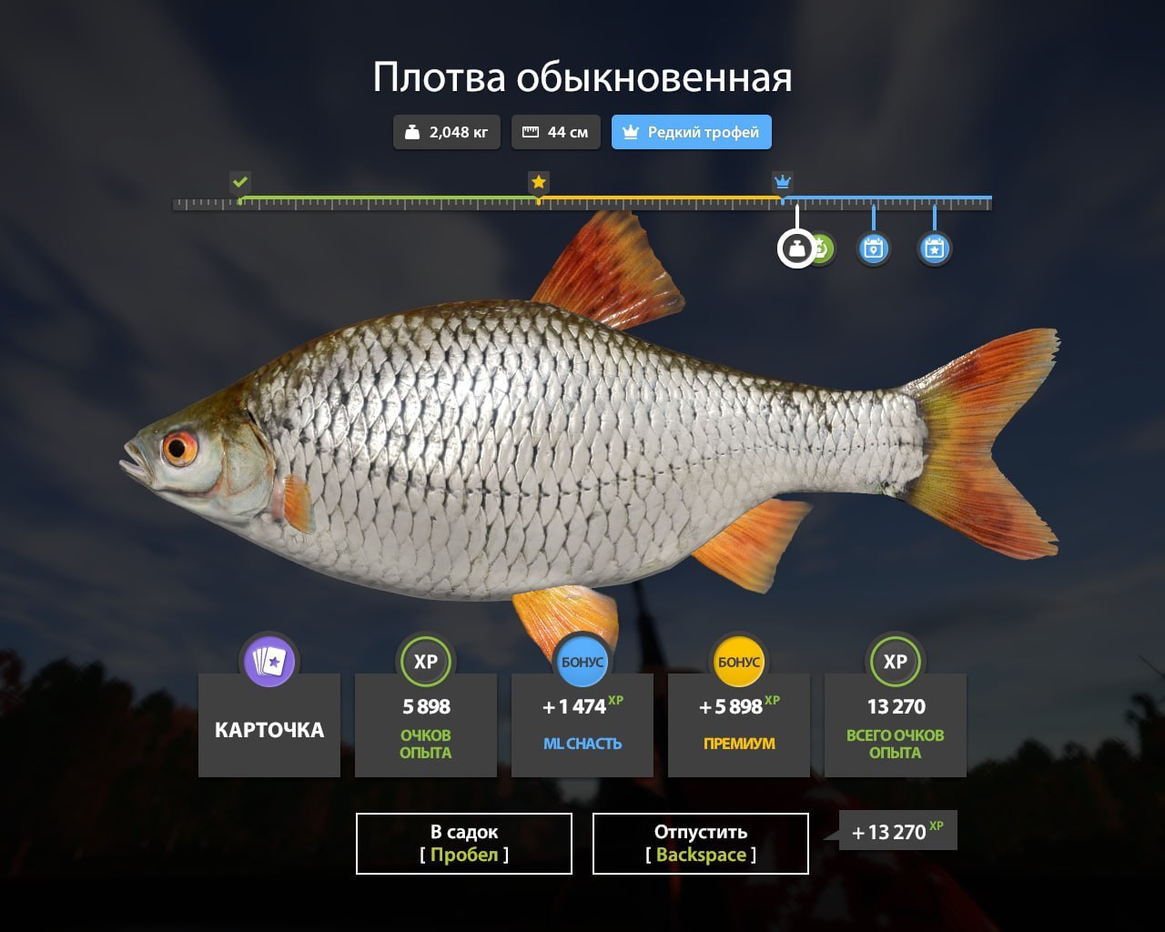 Трофей — Озеро Комариное