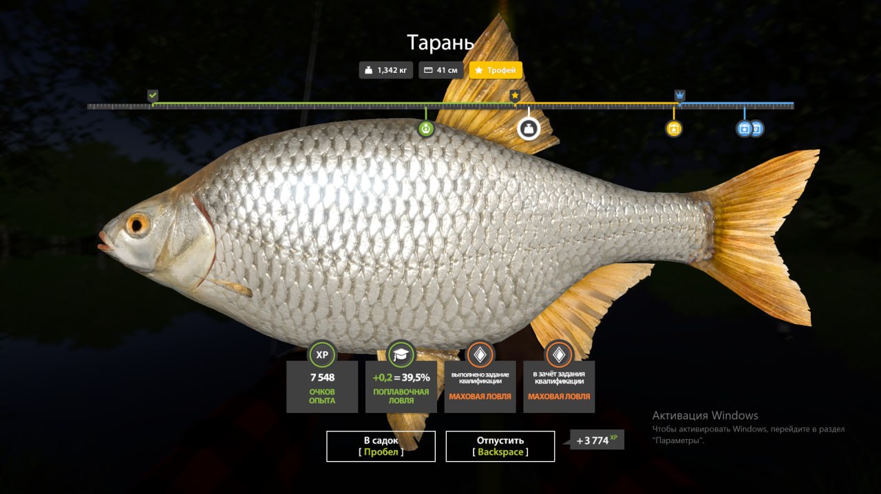 Трофей — Река Северский Донец