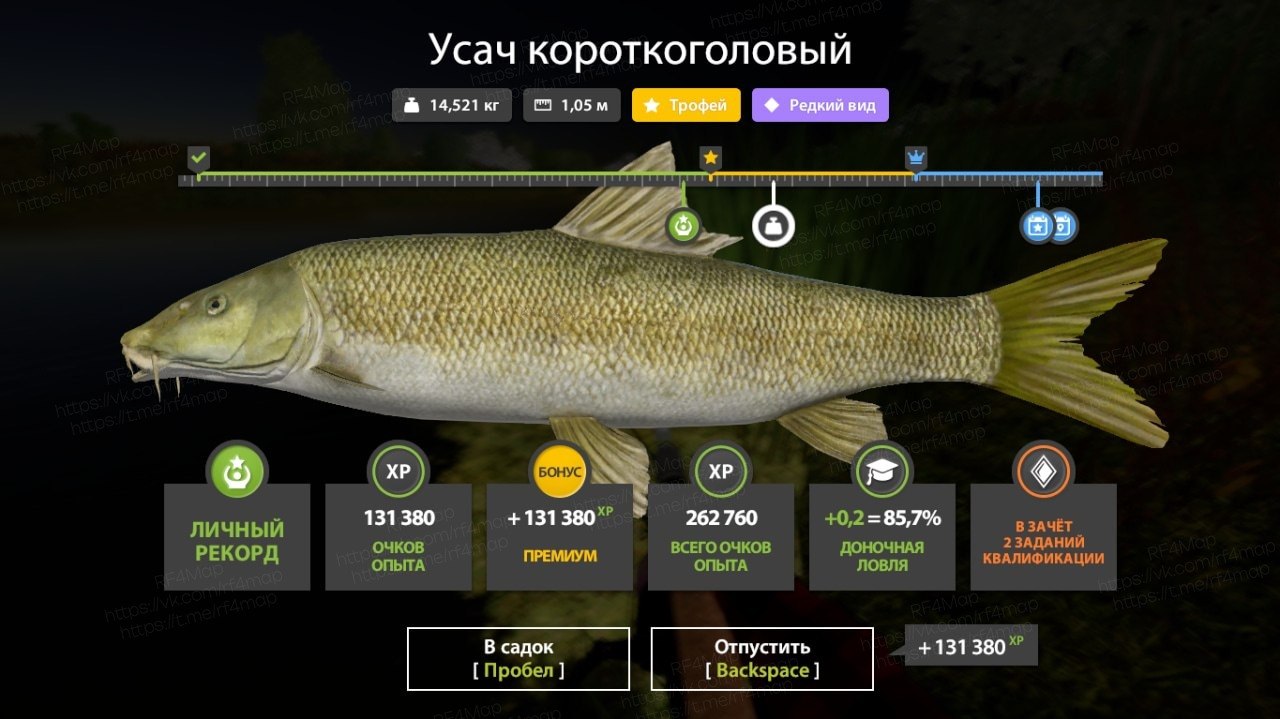 Akhtuba River — Trophy