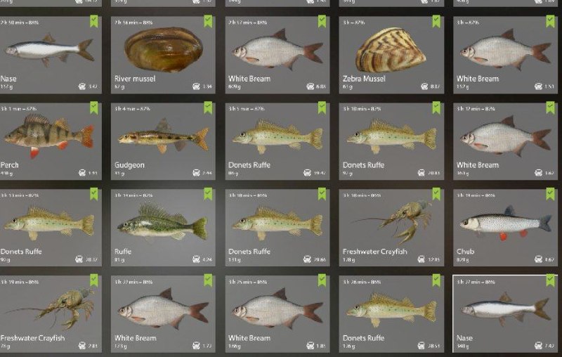 Река Вьюнок — Садок