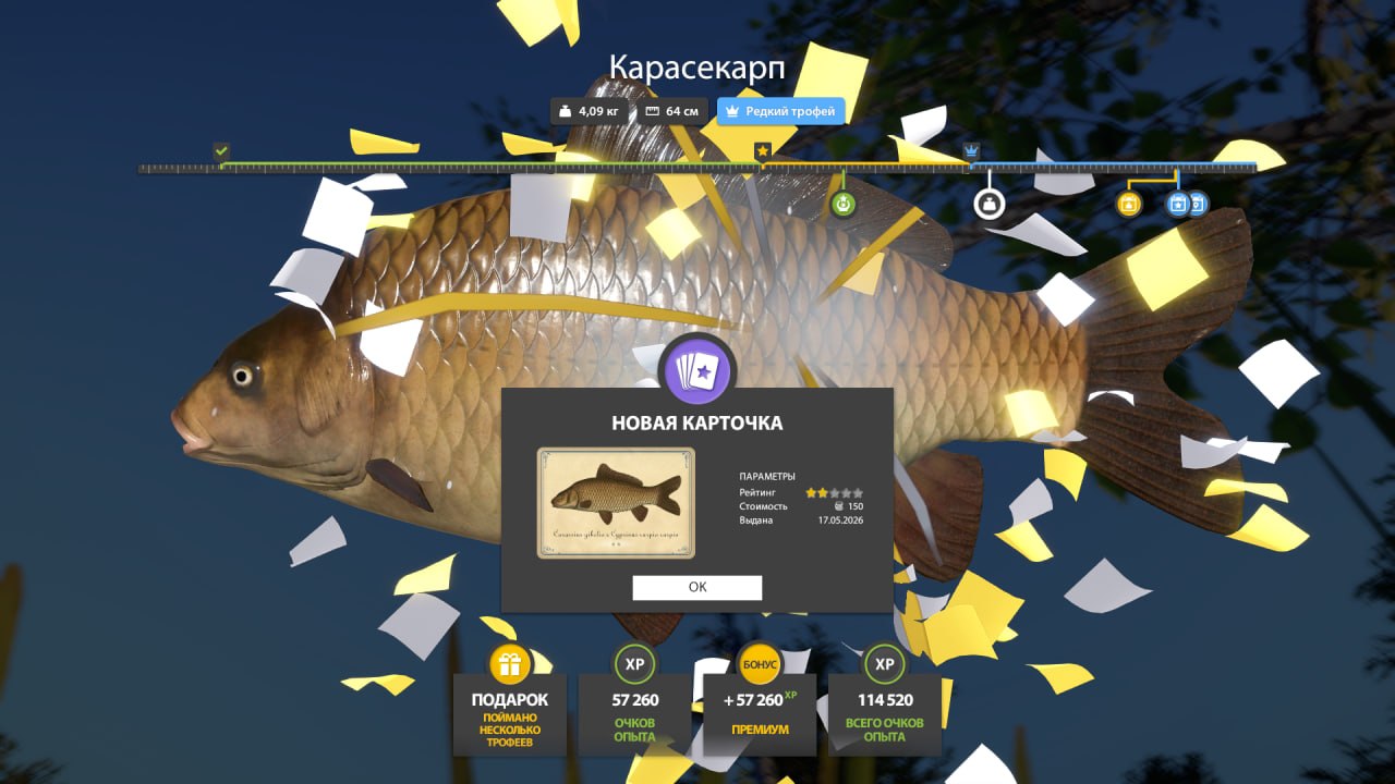 Copper Lake — Trophy