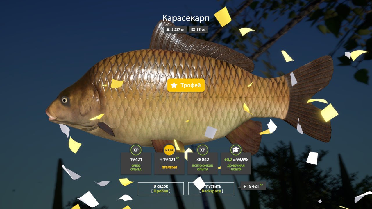 Copper Lake — Trophy