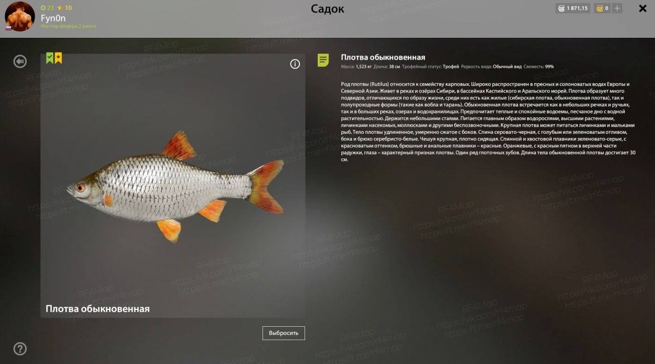 Old Burg Lake — Trophy