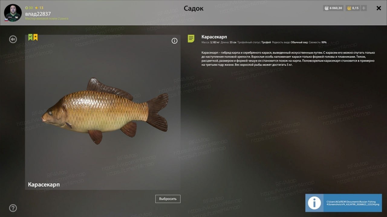 Copper Lake — Trophy