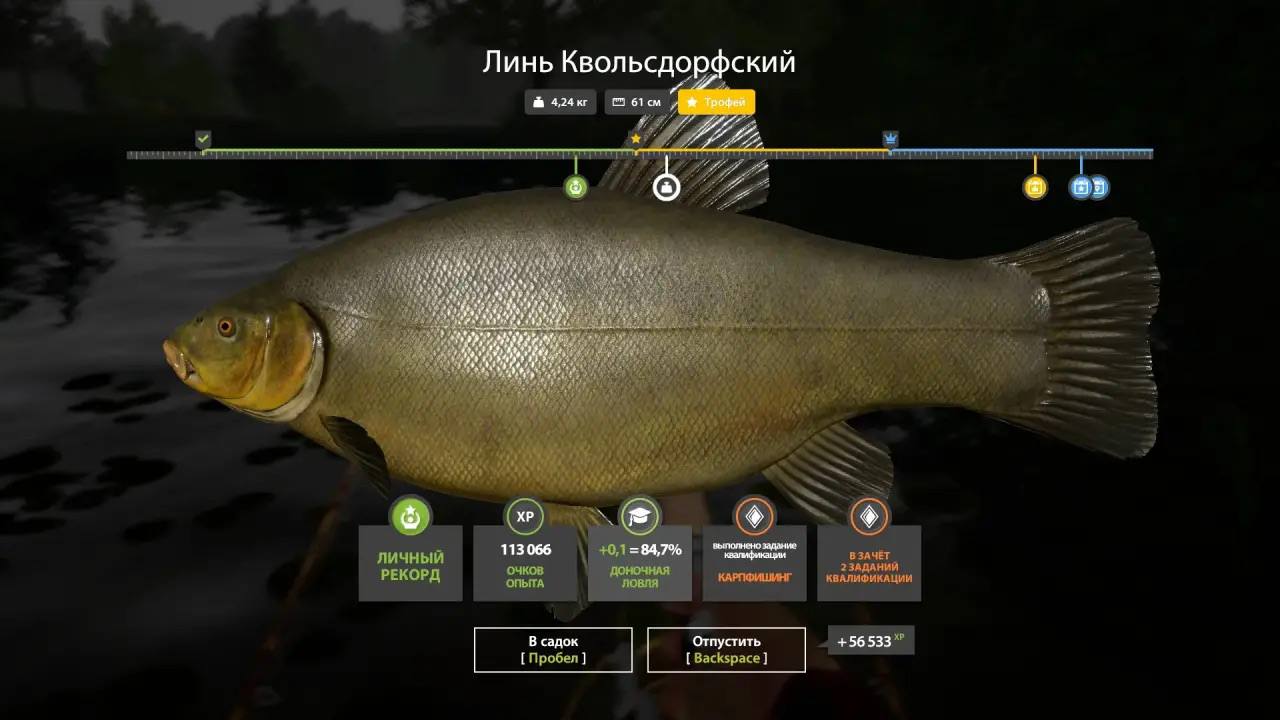 Трофей — Озеро Медное