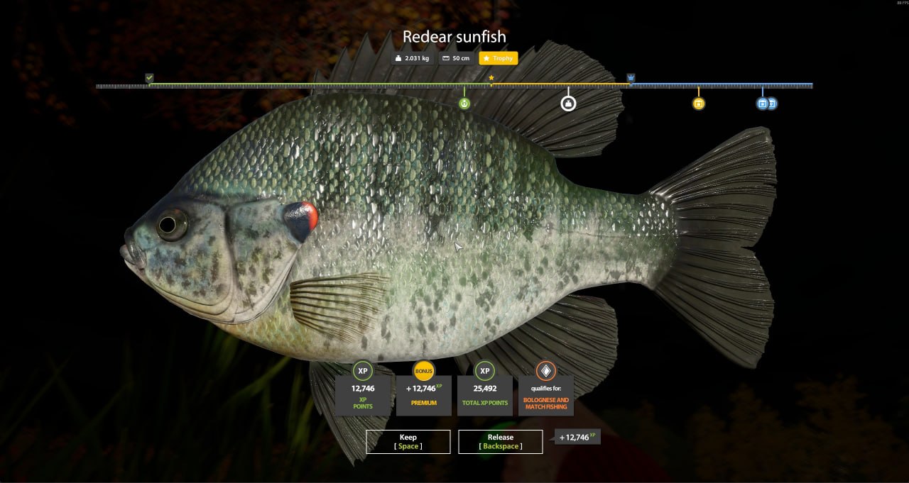 Трофей — Озеро Лосиное