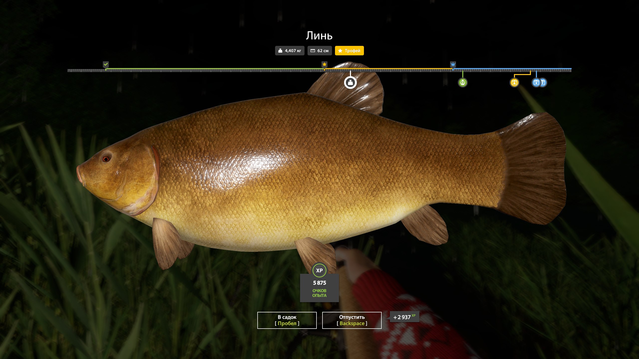 Copper Lake — Trophy