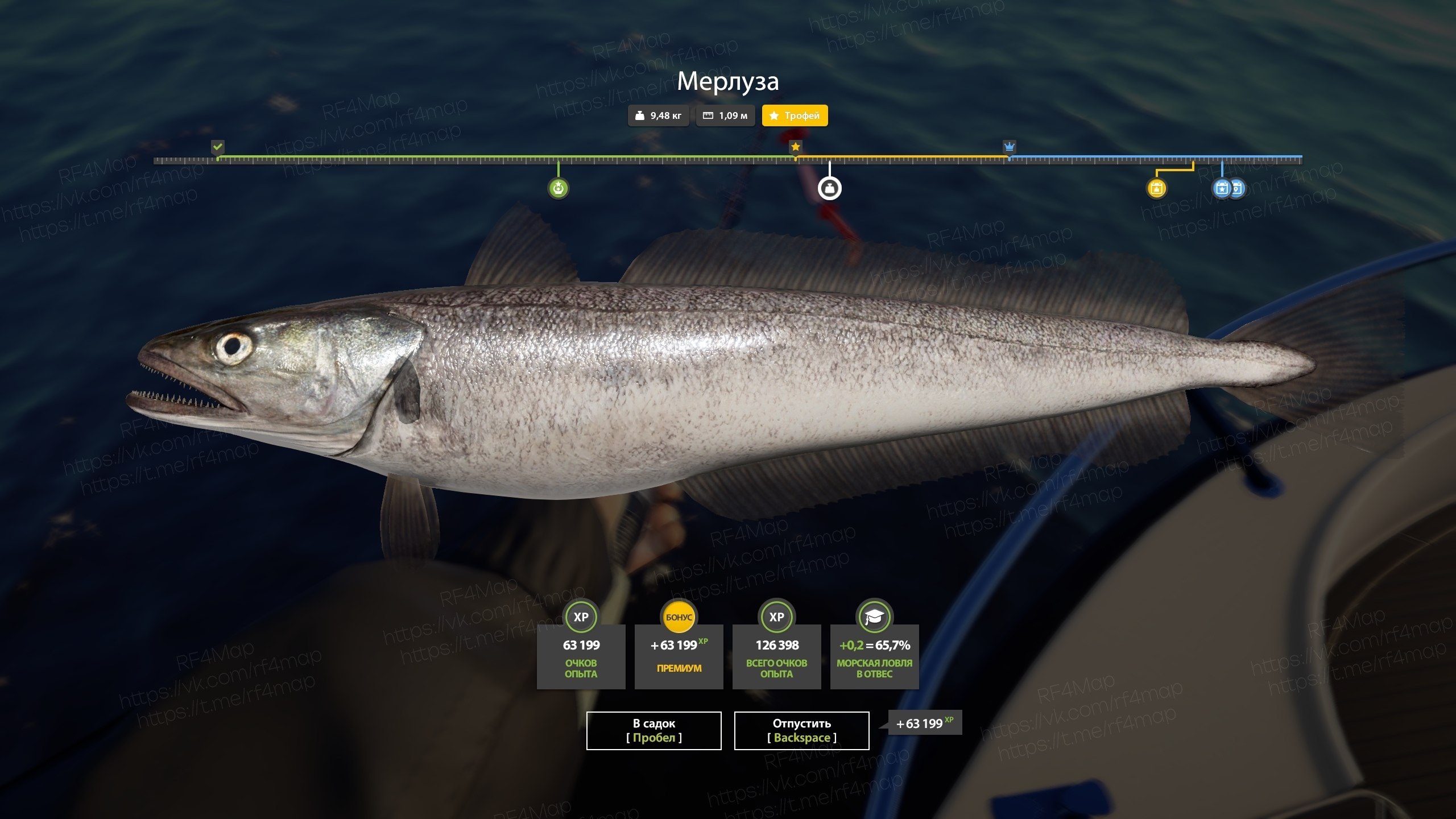 Норвежское море