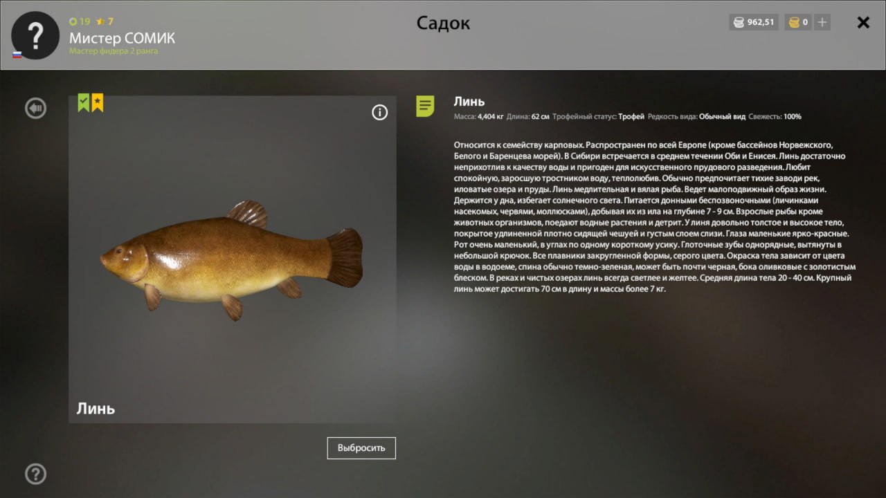 Mosquito Lake — Trophy