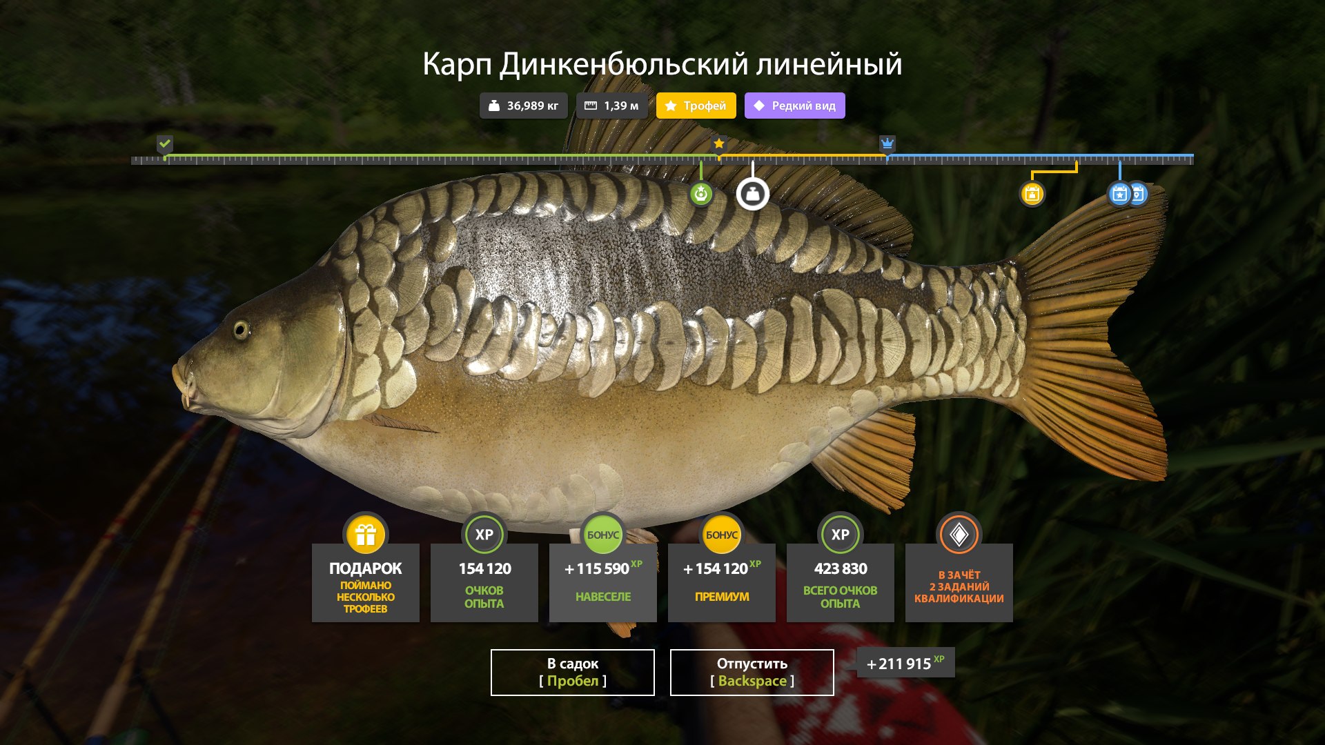 Trophy — Copper Lake