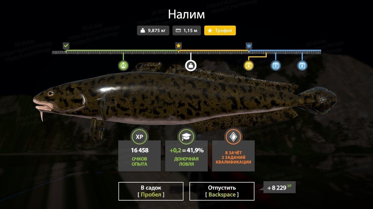Река Белая — Трофей
