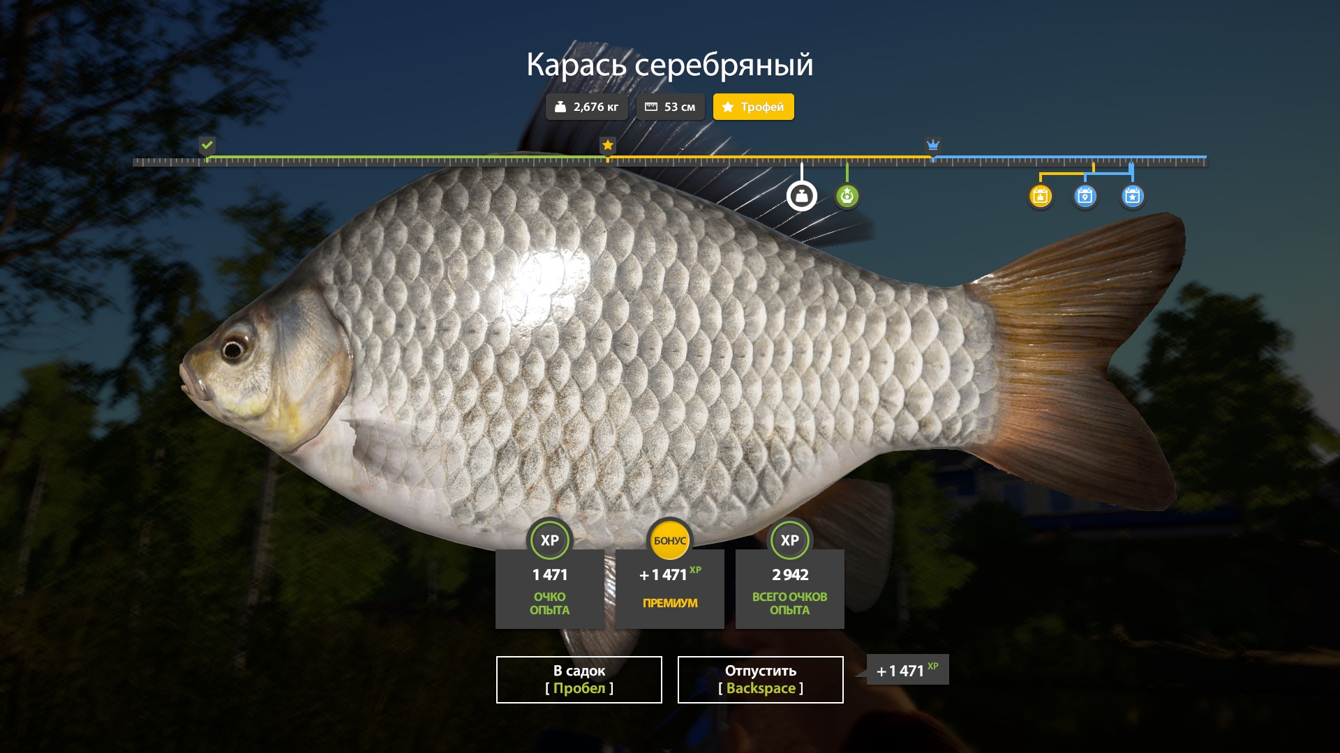 Mosquito Lake — Trophy