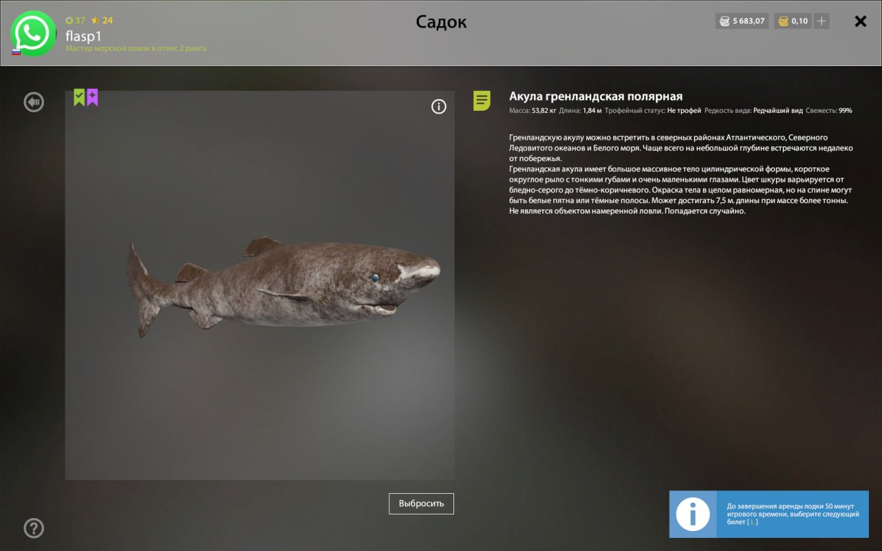 Miscellaneous — Norwegian Sea