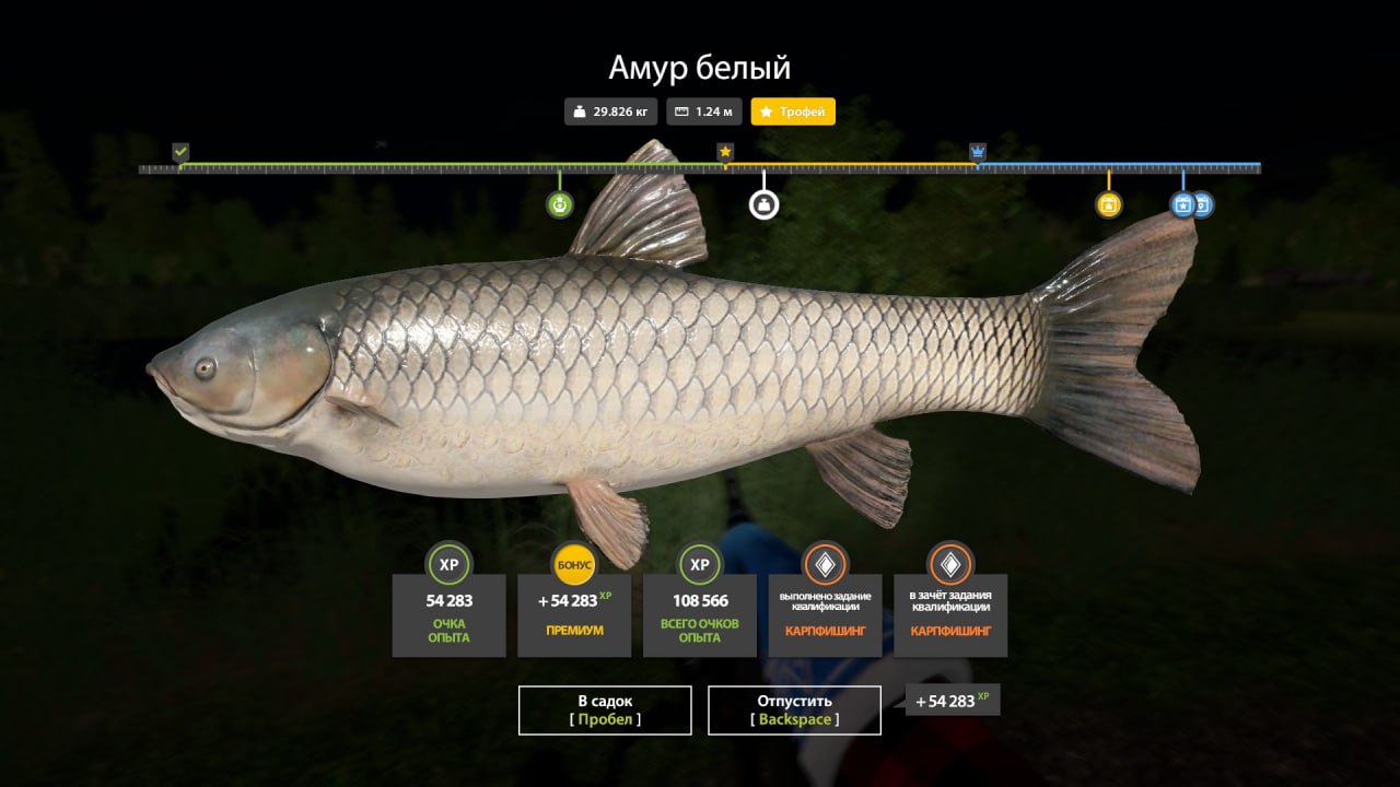 Trophy — Bear Lake