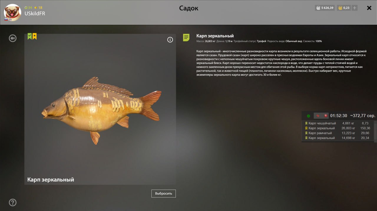 Trophy — The Amber Lake